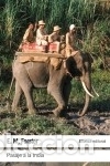 Libros: Pasaje a la India - Forster, E.M. - Foto 1