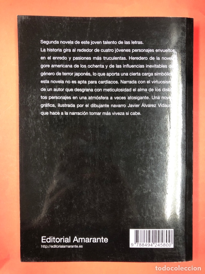 Libros: Ruinas - Foto 2