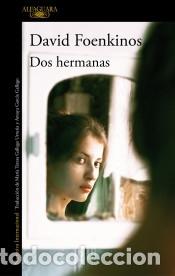 Livres: Dos hermanas - Foenkinos, David