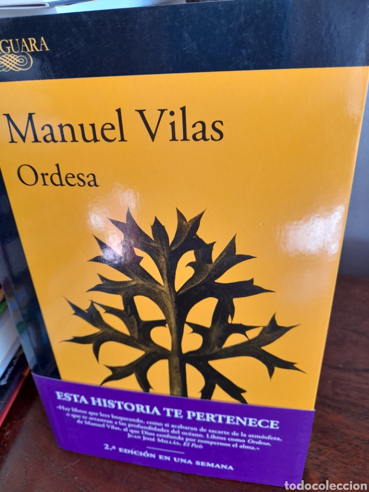 Libros: Ordesa. Manuel Vilas - Foto 3