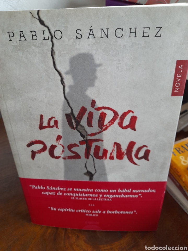 Libros: La vida p&oacute;stuma. Pablo S&aacute;nchez - Foto 3