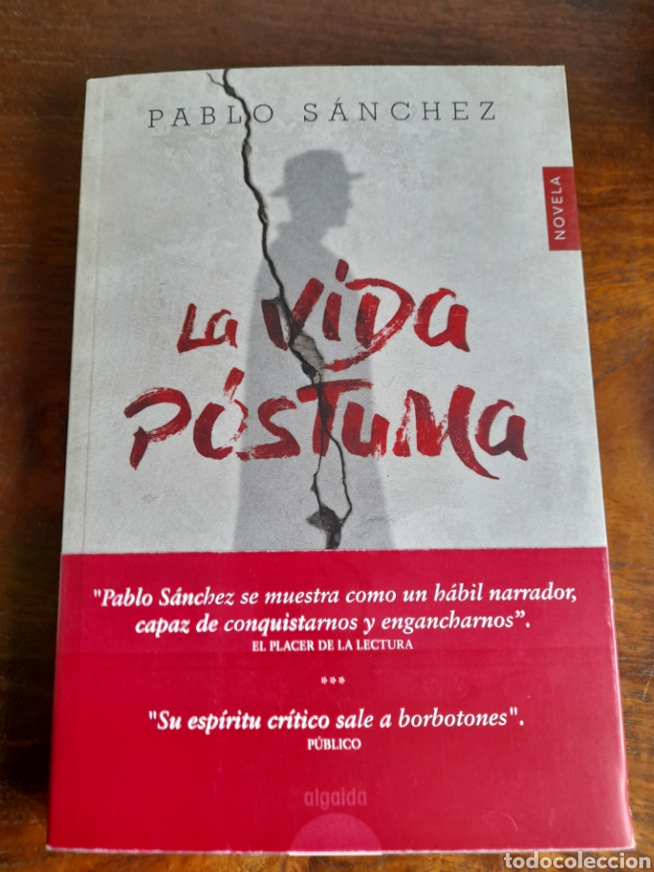Libros: La vida p&oacute;stuma. Pablo S&aacute;nchez - Foto 1