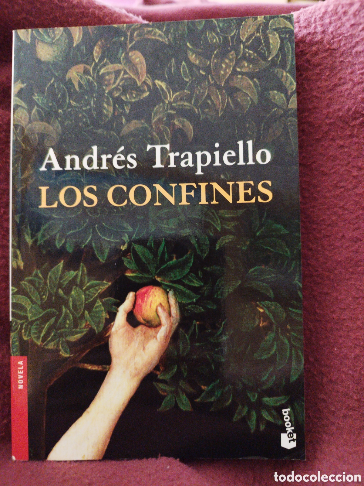 Libros: Los confines - Foto 1