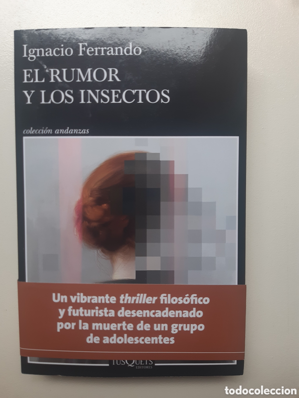 Libros: El rumor y los insectos. Ignacio Ferrando - Foto 1