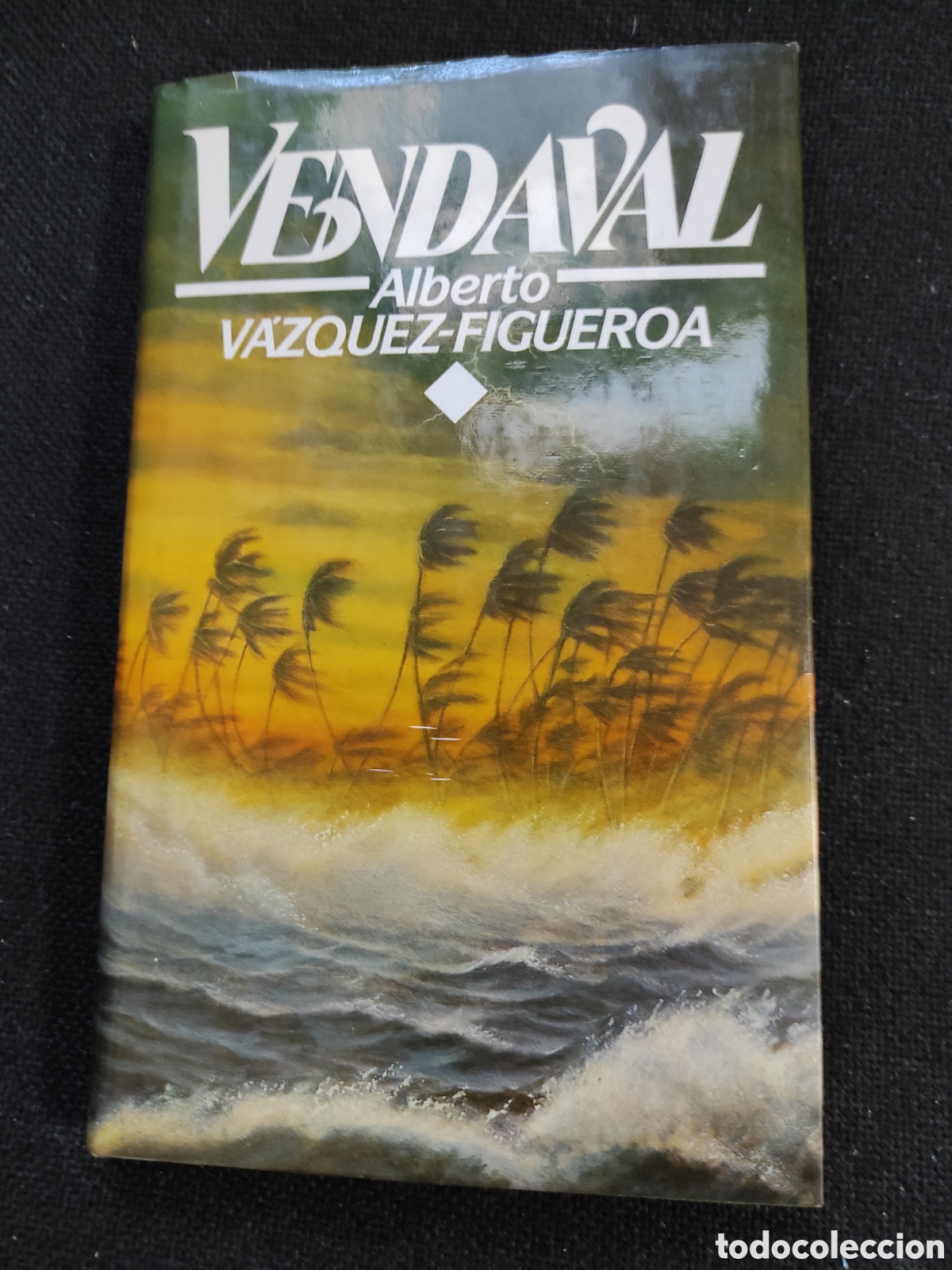 Libros: Libro de lectura - Vendaval - Foto 1