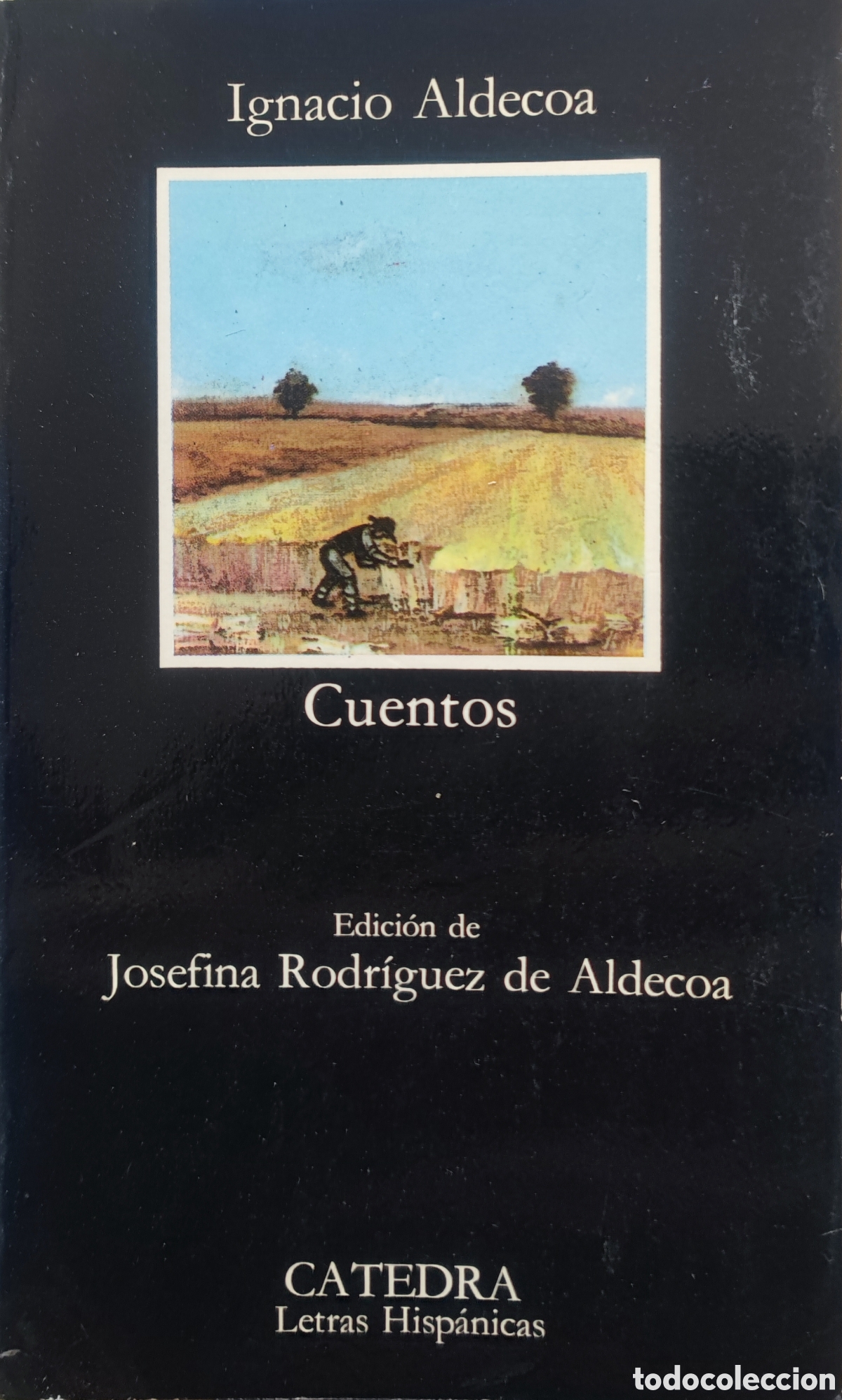 Libros: Ignacio Aldecoa. Cuentos - Foto 1