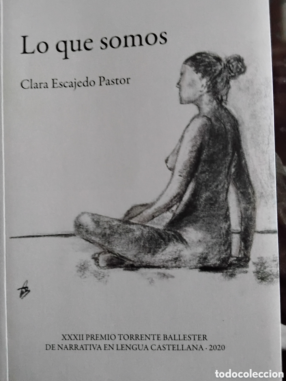 Libros: LO QUE SOMOS. CLARA ESCAJEDO PASTOR