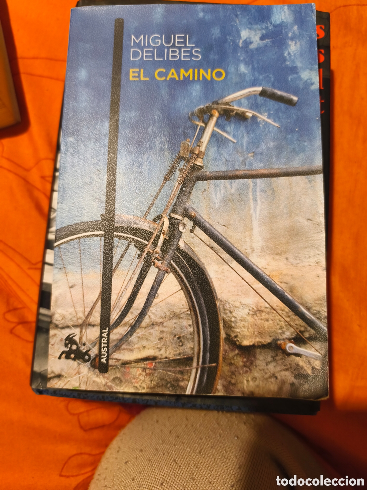 Libros: El camino. Miguel Delibes