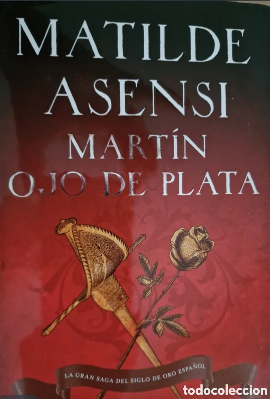 Libros: MARTIN OJO DE PLATA. MATILDE ASENSI
