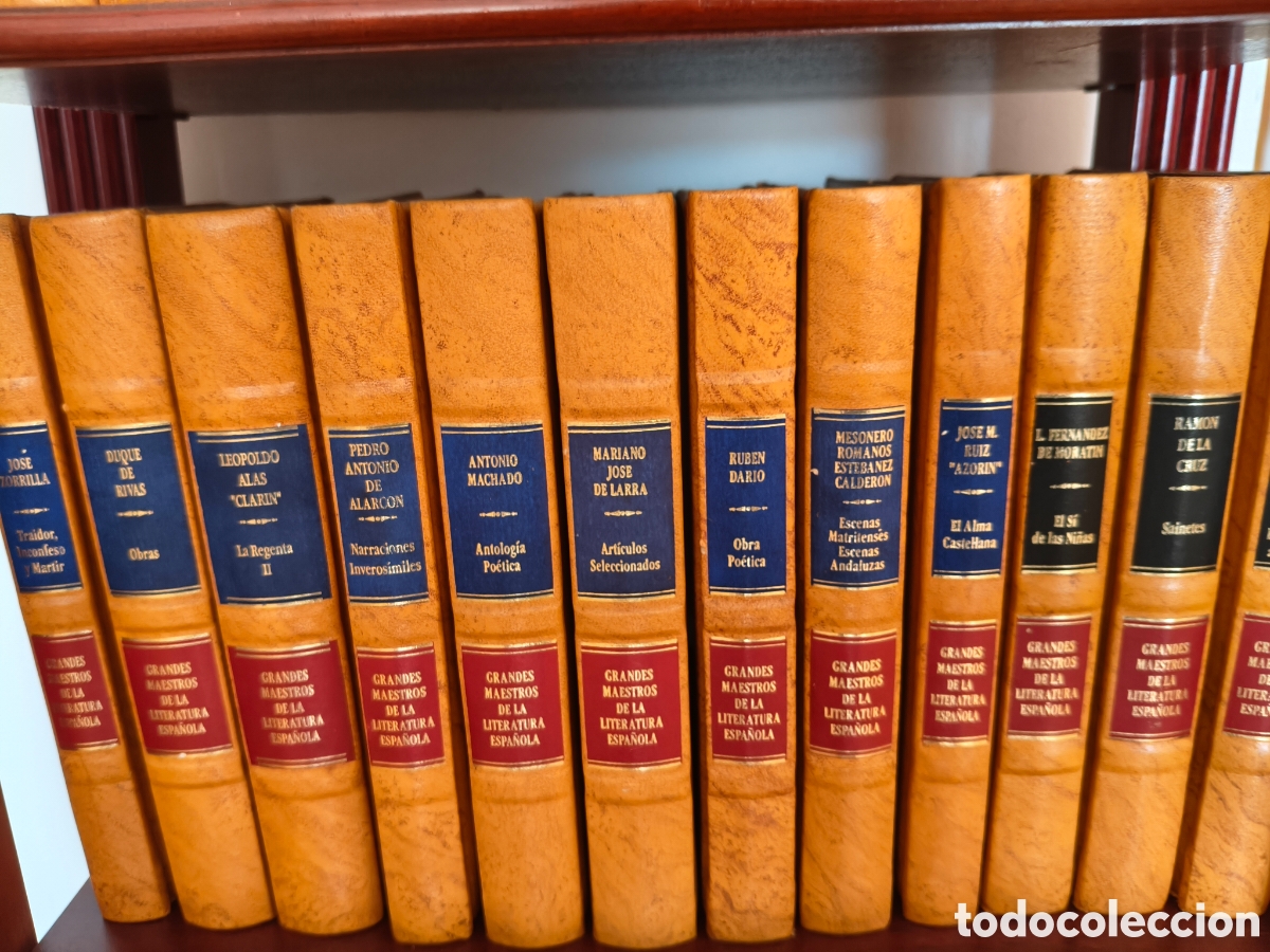 Libros: Grandes maestros de la literatura espa&ntilde;ola.
