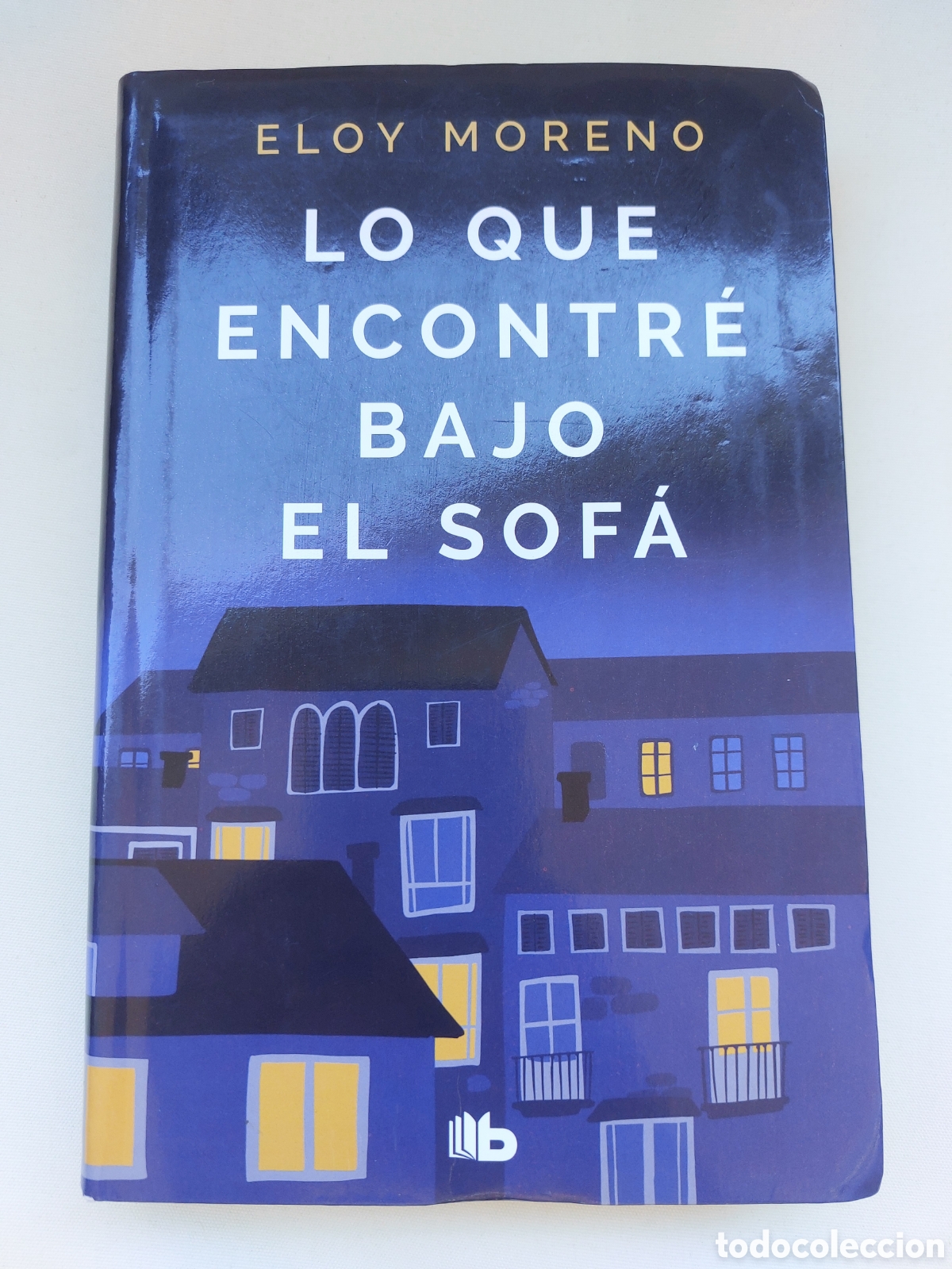 Libros: Lo que encontr&eacute; bajo el sof&aacute;.