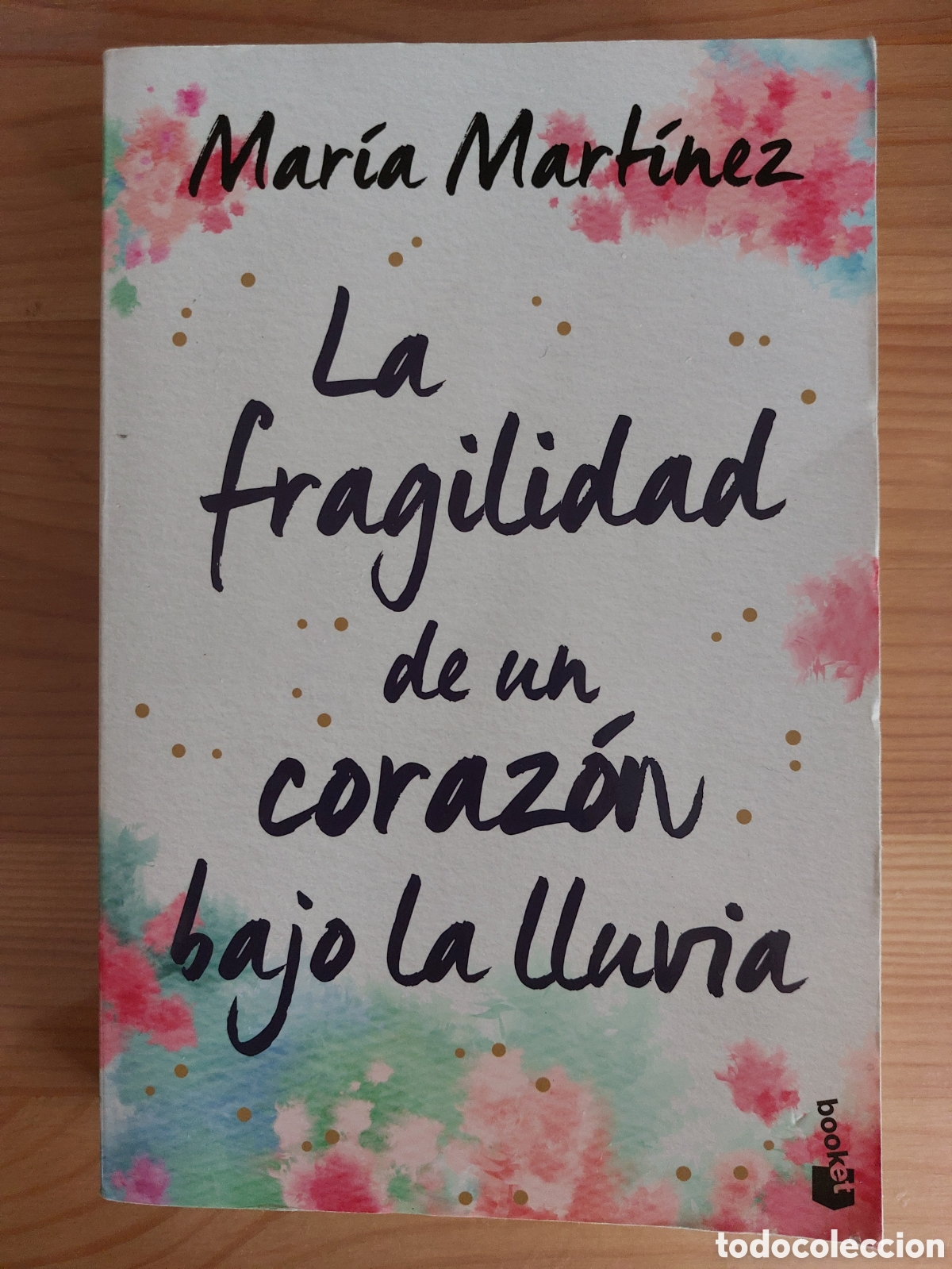 Libros: La fragilidad de un coraz&oacute;n bajo la lluvia