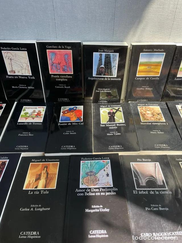 Libros: Lote de 26 libros C&aacute;tedra
