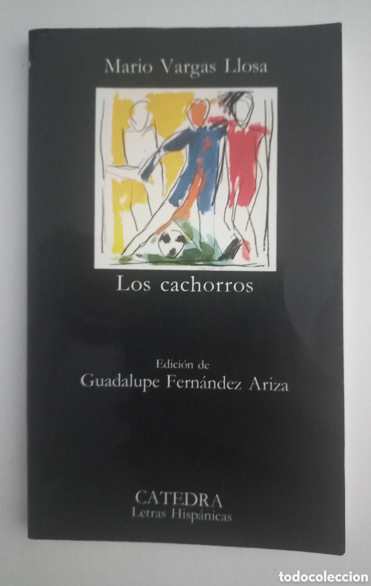 Libros: LOS CACHOROS, VARGAS LLOSA. C&Aacute;TEDRA DE LETRAS HISPANICAS