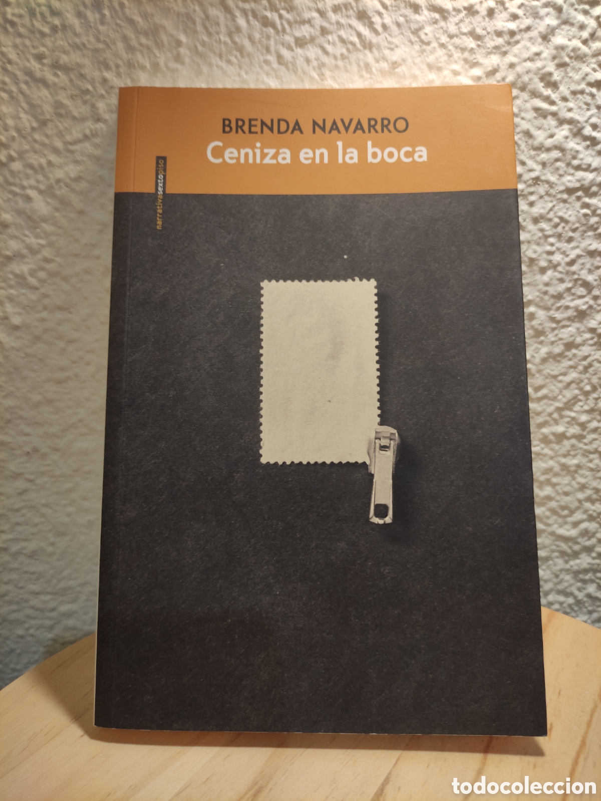 Libros: Ceniza en la boca Brenda Navarro