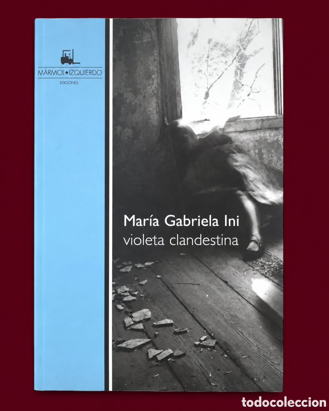 Libros: MAR&Iacute;A GABRIELA INI &ndash; VIOLETA CLANDESTINA &ndash; M&Aacute;RMOL &bull; IZQUIERDO EDICIONES &ndash; LMD