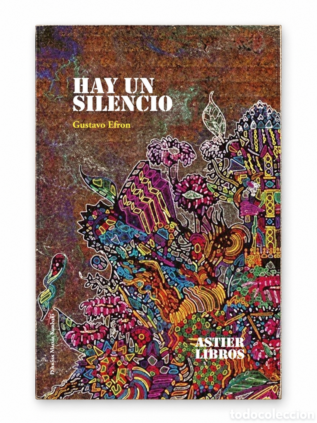 Libros: GUSTAVO EFRON &ndash; HAY UN SILENCIO &ndash; ASTIER LIBROS &ndash; LMD