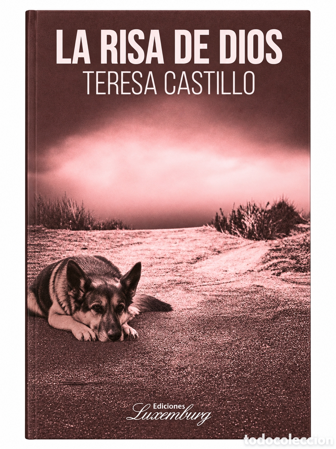 Libros: TERESA CASTILLO &ndash; LA RISA DE DIOS &ndash; LMD