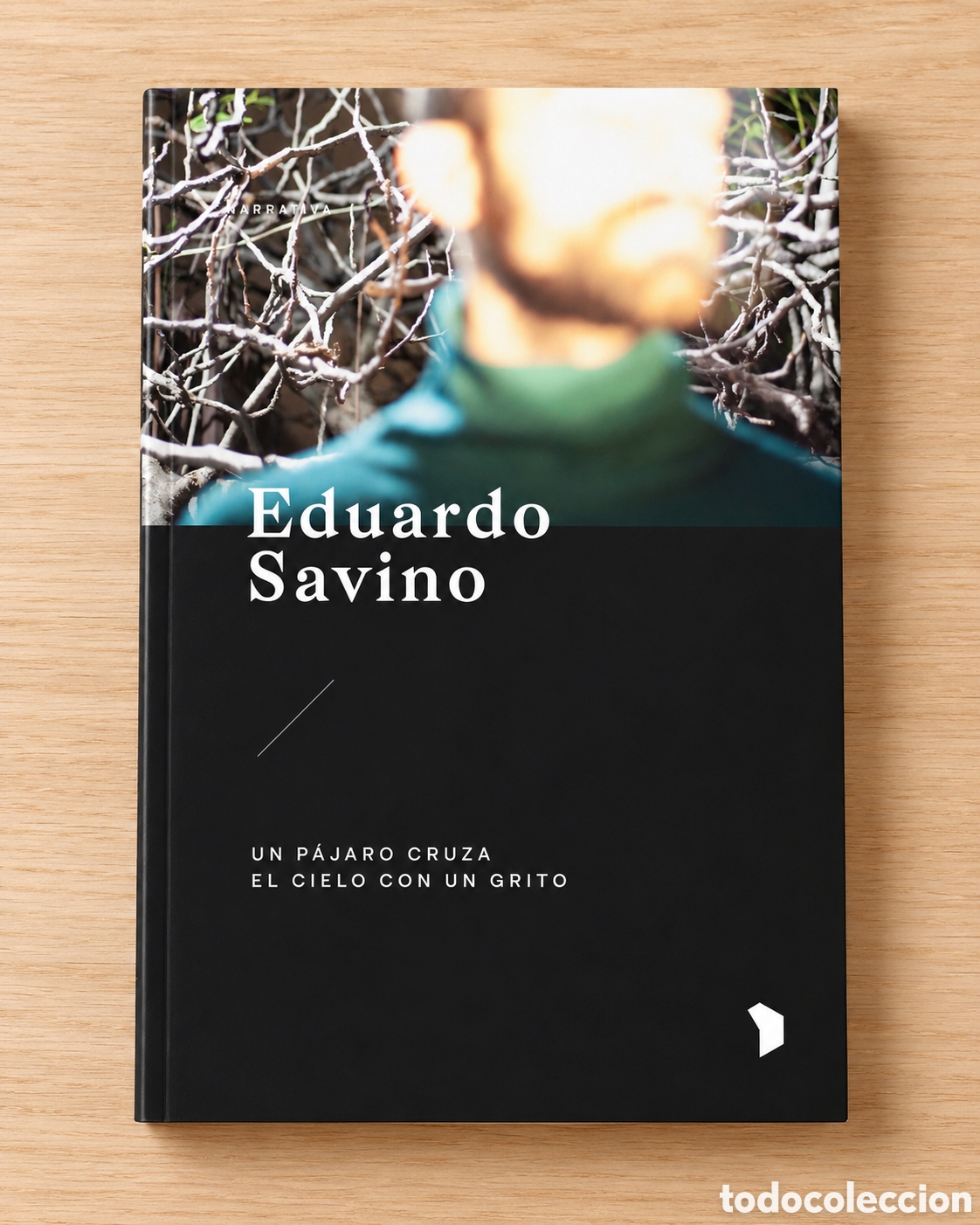 Libros: EDUARDO SAVINO &ndash; UN P&Aacute;JARO CRUZA EL CIELO CON UN GRITO &ndash; HEX&Aacute;GONO EDITORAS &ndash; 2024 &ndash; LMD
