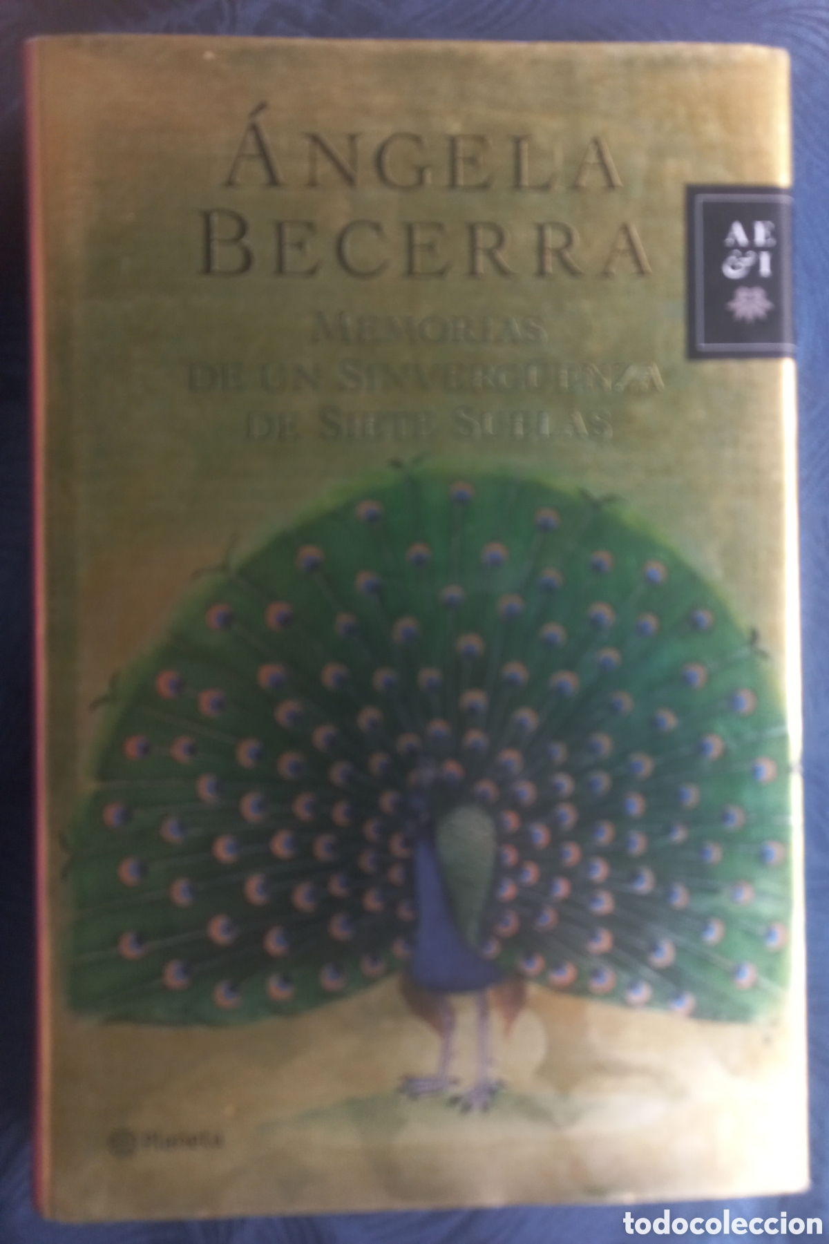 Libros: Memorias de un sinverg&uuml;enza de siete suelas' de &Aacute;ngela Becerra