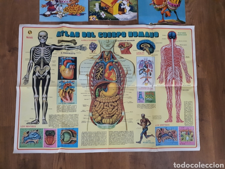 Libros: tebeos de petete - Foto 3