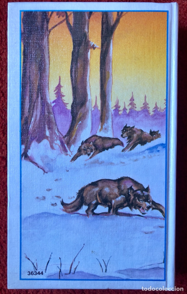 Libros: Colmillo Blanco Jack London - Foto 2