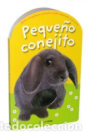 B&uuml;cher: Peque&ntilde;ito conejito - Priddy Books