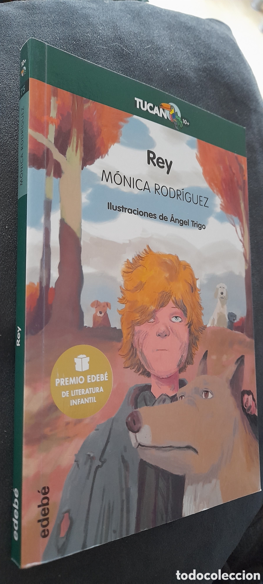 Libros: Rey. M&oacute;nica Rodr&iacute;guez - Foto 3