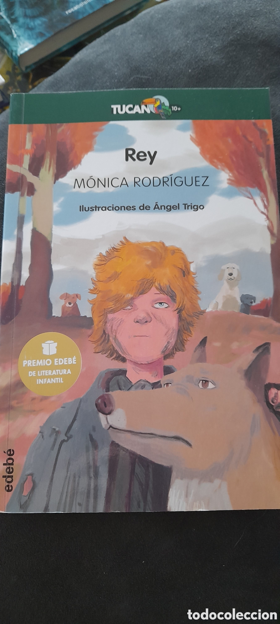 Libros: Rey. M&oacute;nica Rodr&iacute;guez - Foto 1