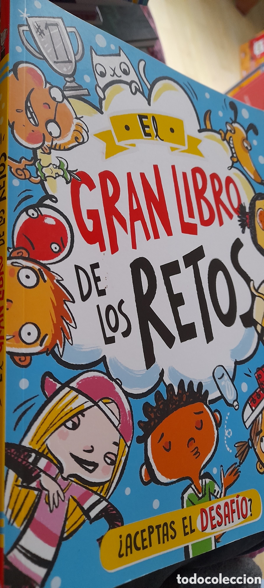 Libros: El gran libro de los retos. - Foto 3