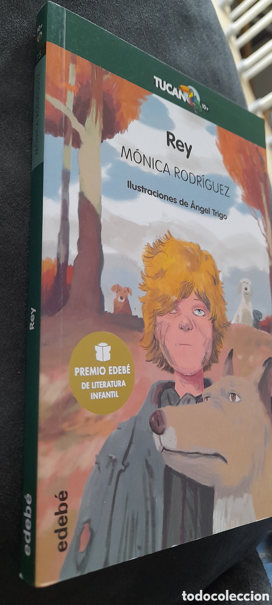 Libros: Rey. M&oacute;nica Rodr&iacute;guez - Foto 3