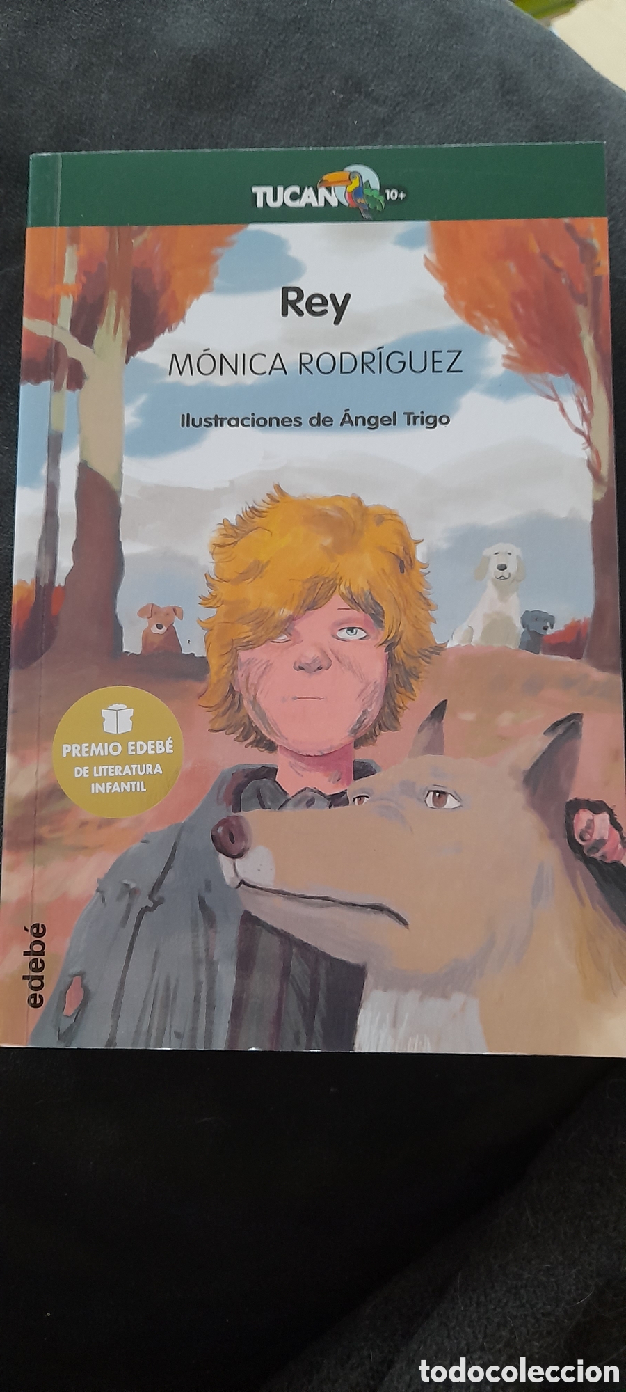 Libros: Rey. M&oacute;nica Rodr&iacute;guez - Foto 1