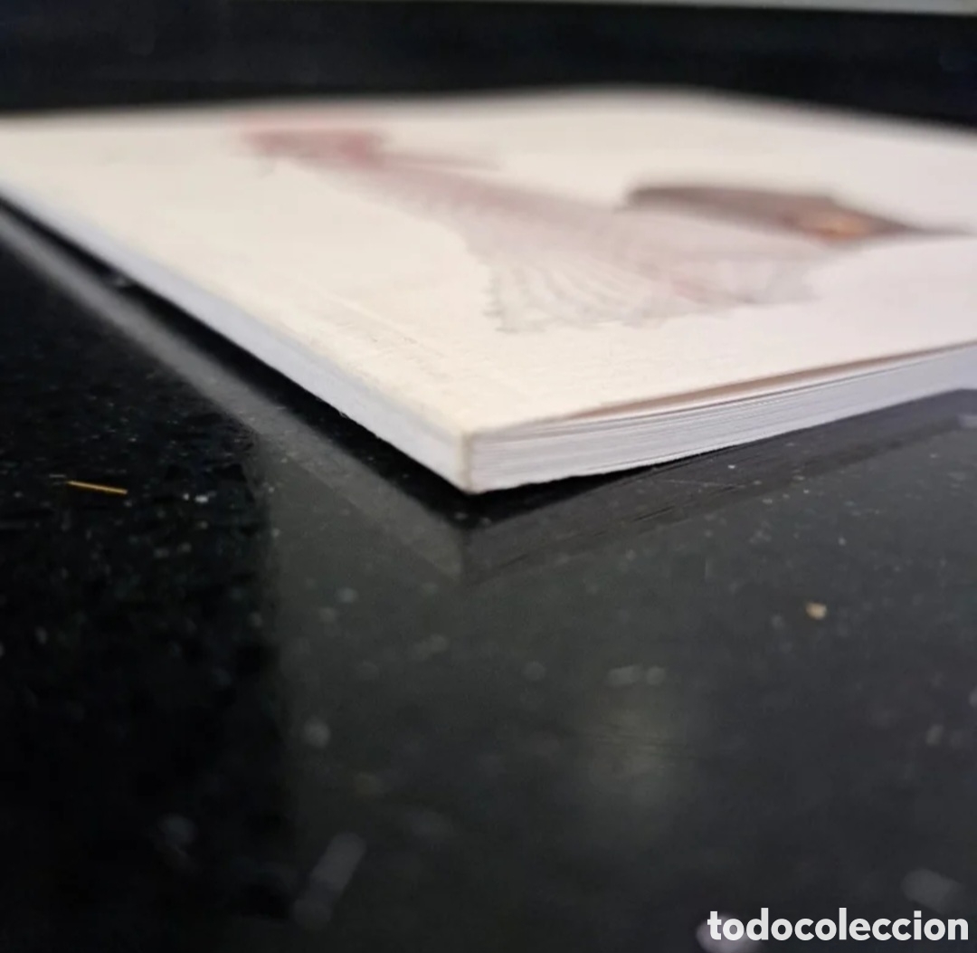 Libros: ELEGIA CON P&Eacute;TALOS DE ROSA - Foto 8