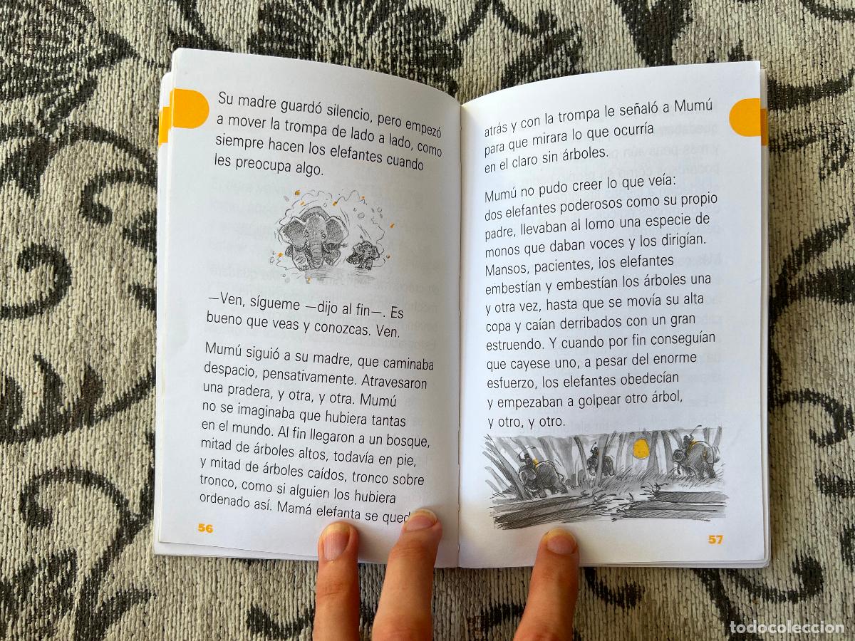 Libros: MAM&Uacute; - HILDA PERERA - LIBRO - Foto 3