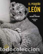 Libros: El peque&ntilde;o le&oacute;n - Pr&eacute;vert, Jacques - Foto 1