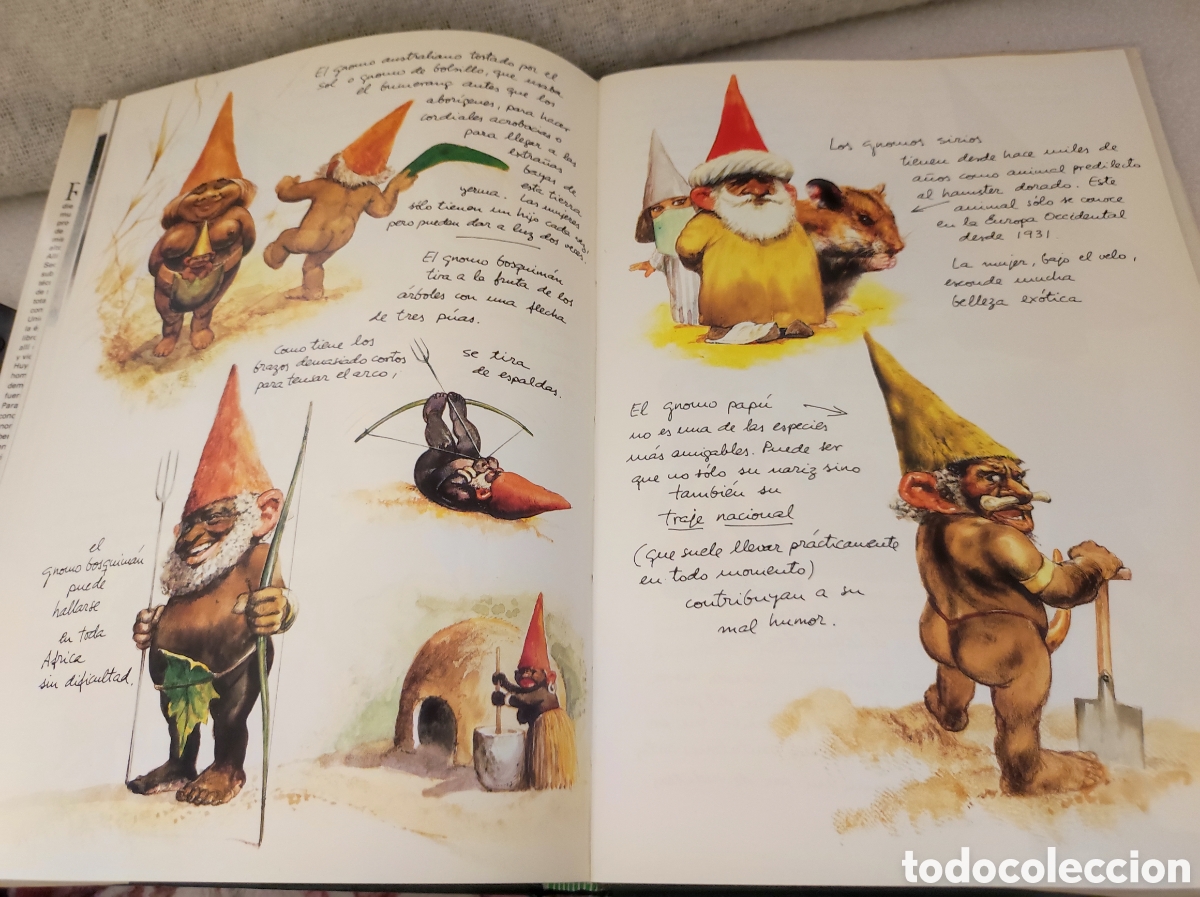 Livres: La llamada de los gnomos/