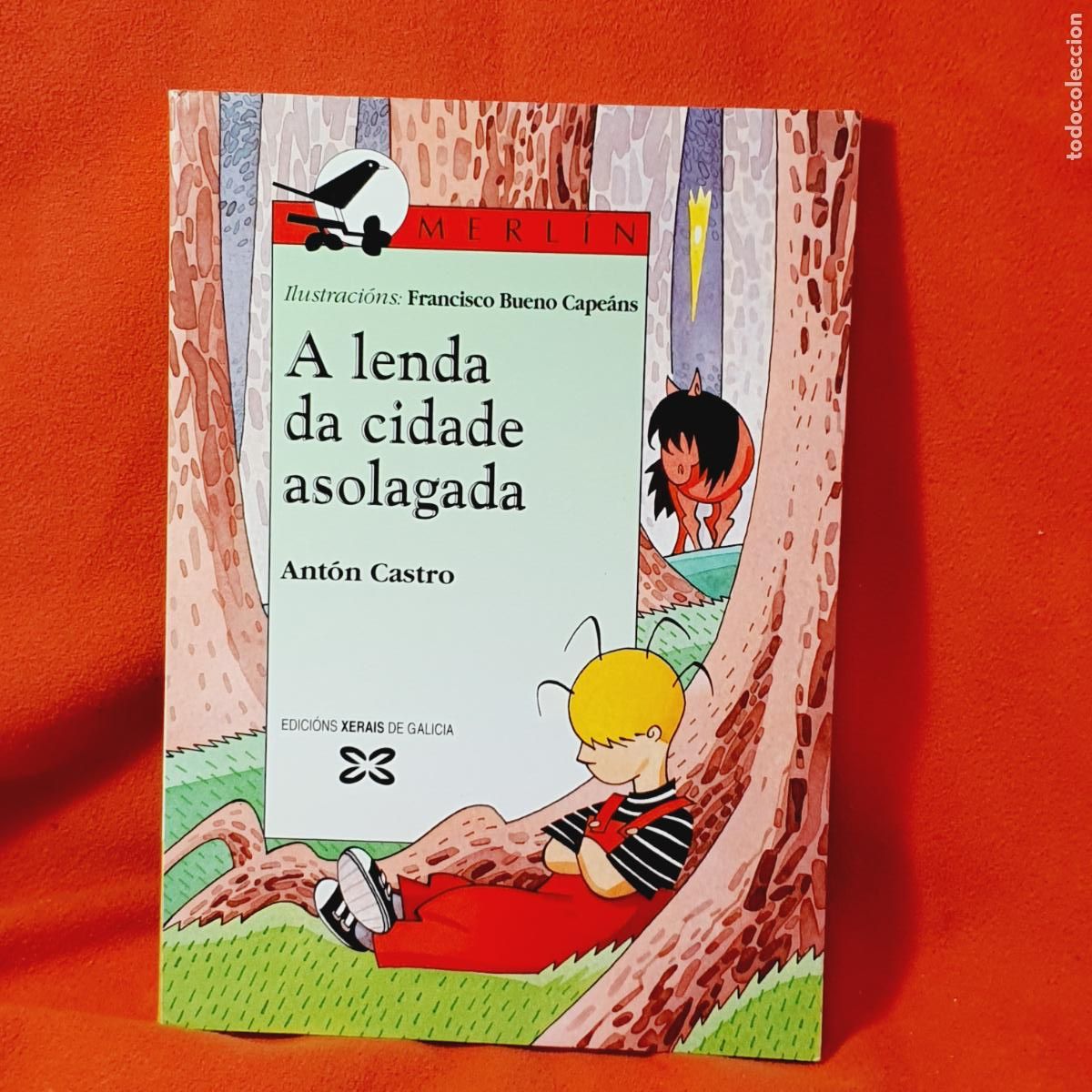 Libros: LIBRO-A LENDA DA CIUDAD ASOLAGADA-ANT&Oacute;N CASTRO-MERL&Iacute;N-XERAIS-EN GALLEGO-1&ordf;EDICI&Oacute;N-1995-EXCELENTE