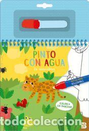 Libros: PINTO CON AGUA - LA NATURALEZA - BALLON