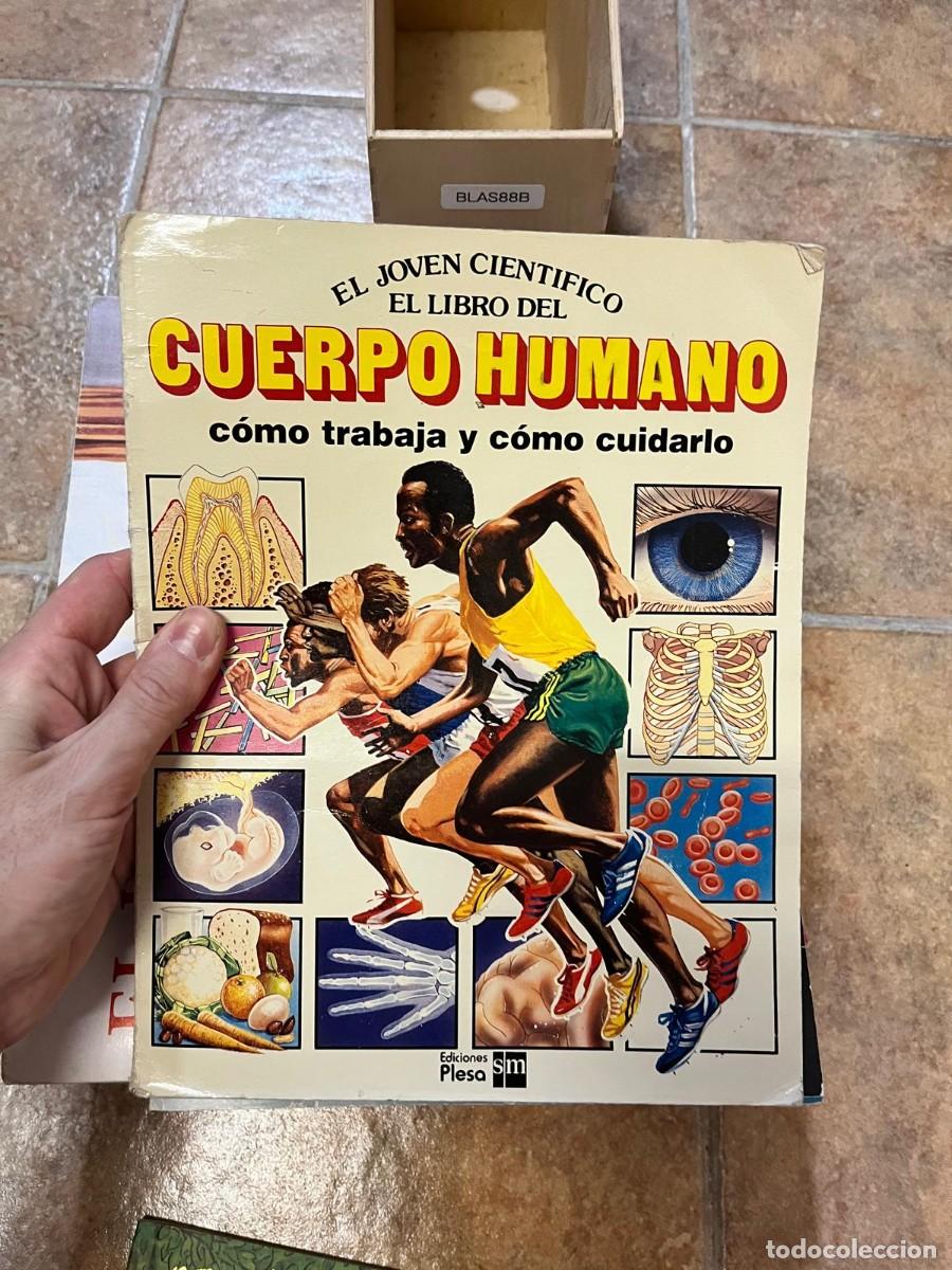 Libros: BLAS88B-006 &ndash; El joven cient&iacute;fico: El libro del cuerpo humano. C&oacute;mo trabaja y c&oacute;mo cuidarlo.