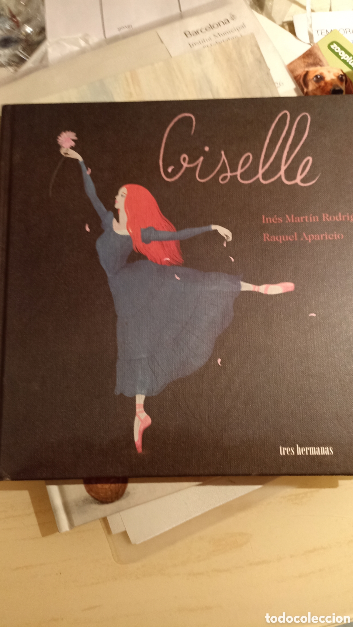 Libros: Giselle In&eacute;s Mart&iacute;n Rodrigo e ilustrado por Raquel Aparicio.