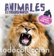 Libros: Animales Extraordinarios - Equipo Editorial