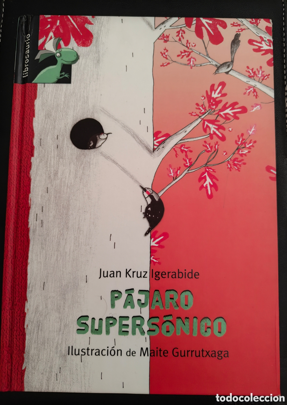 Libros: P&aacute;jaro supers&oacute;nico ....