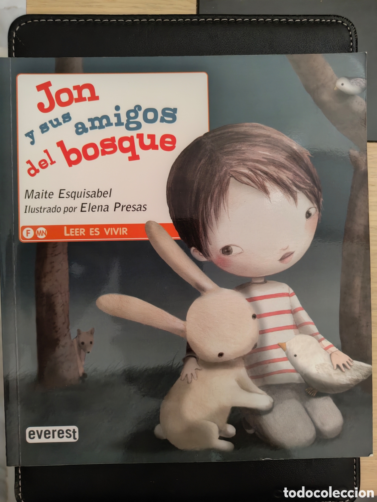 Libros: Jon y sus amigos del bosque