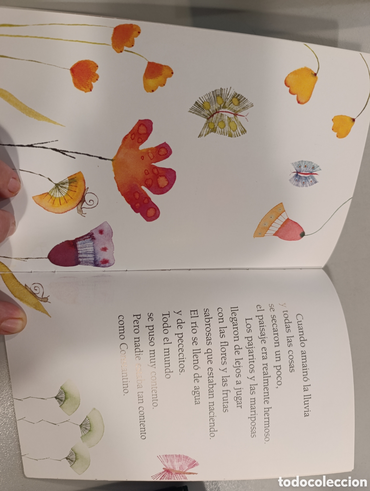 Libros: Constantino hace llover - Foto 4