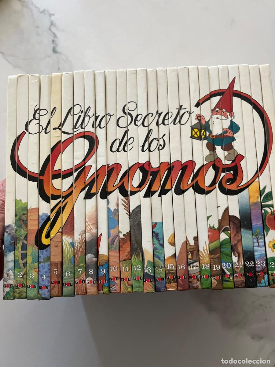 Libros: El libro secreto de los Gnomos. A&ntilde;o 1985.
