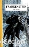 Libros: FRANKENSTEIN - SHELLEY, MARY W. - Foto 1