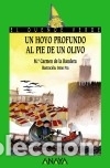 B&uuml;cher: Un hoyo profundo al pie de un olivo - Mar&iacute;a Carmen de la Bandera