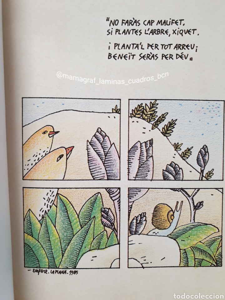Libros: EL MON VEGETAL - Foto 2
