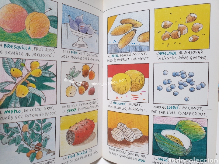 Libros: EL MON VEGETAL - Foto 3