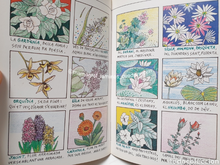 Libros: EL MON VEGETAL - Foto 4
